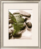 Buy Spring Retreat I at AllPosters.com