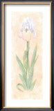 Buy Iris Soliloquy II at AllPosters.com