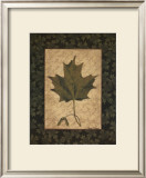 Buy Sugar Maple Leaf at AllPosters.com
