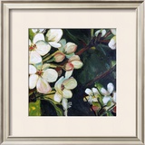 Blossom Rhapsody III