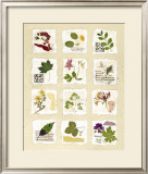 Buy Kent Garden Fragments at AllPosters.com
