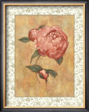 Buy Antique Peony II at AllPosters.com