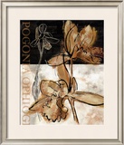 Buy Blooming Orchid II at AllPosters.com