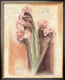 Buy Rose Narcissus at AllPosters.com