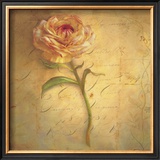 Buy Little Anemone at AllPosters.com