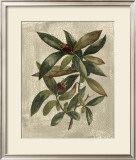 Buy Deshayes Tree III at AllPosters.com
