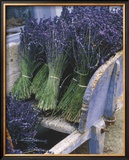 Buy Lavender Harvest at AllPosters.com