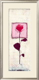 Buy She Is My Favourite at AllPosters.com