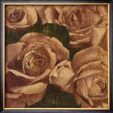Buy Rose Cluster I at AllPosters.com