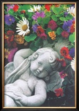 Innocence