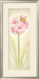 Buy Pleasure at AllPosters.com