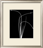 Wild Grasses II