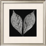 Buy Simplicity at AllPosters.com