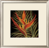 Buy Birds of Paradise I at AllPosters.com