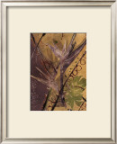Buy Rainforest Suite II at AllPosters.com