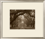 Buy Oak Alley at AllPosters.com
