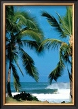 Buy Spot d'Haleiwa at AllPosters.com
