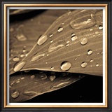 Ecoute