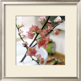 Buy Appletree Branch at AllPosters.com