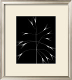 Wild Grasses III