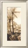 Buy Equatorial Breeze I at AllPosters.com