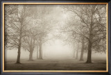 Buy Layers of Trees II at AllPosters.com