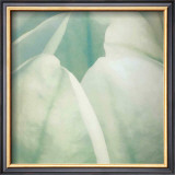 Buy Tulip Trio II at AllPosters.com