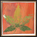 Buy Autumn Leaves at AllPosters.com