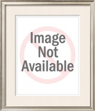 Buy Fleurs St. Germain at AllPosters.com