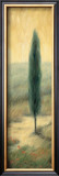 Buy Tuscan Twilight II at AllPosters.com