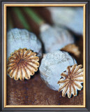 Buy Expressive Formation at AllPosters.com