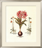 Botanical IV
