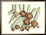 Buy Botanical I at AllPosters.com