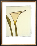 Buy Arum, c.2003 at AllPosters.com