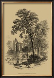 The Ash Tree