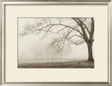 Buy Layers of Trees I at AllPosters.com
