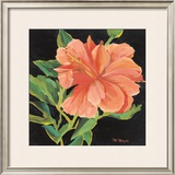 Orange Flower