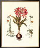 Botanical IV