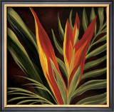 Buy Birds of Paradise II at AllPosters.com