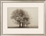 Buy Harmony in Fog at AllPosters.com