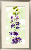 Buy Delphinium at AllPosters.com