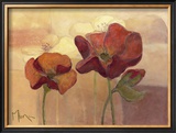Buy Poppy Dream at AllPosters.com