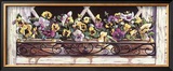 Buy Window Pansies at AllPosters.com