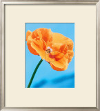Buy Perfect Day at AllPosters.com