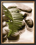 Buy Spring Retreat I at AllPosters.com