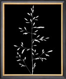 Wild Grasses I