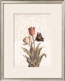 Buy Tulip Companion II at AllPosters.com