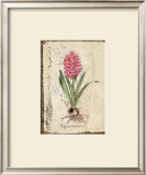 Buy Pink Hyacinth at AllPosters.com