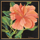 Orange Flower