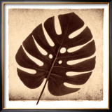 Buy Monstera I at AllPosters.com